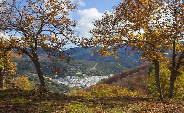 Casa Pepa Villa Igualeja 0*,  Spain